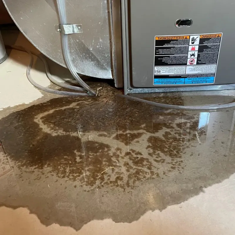 Pipe Burst and Leak Restoration in Arapahoe, WY
