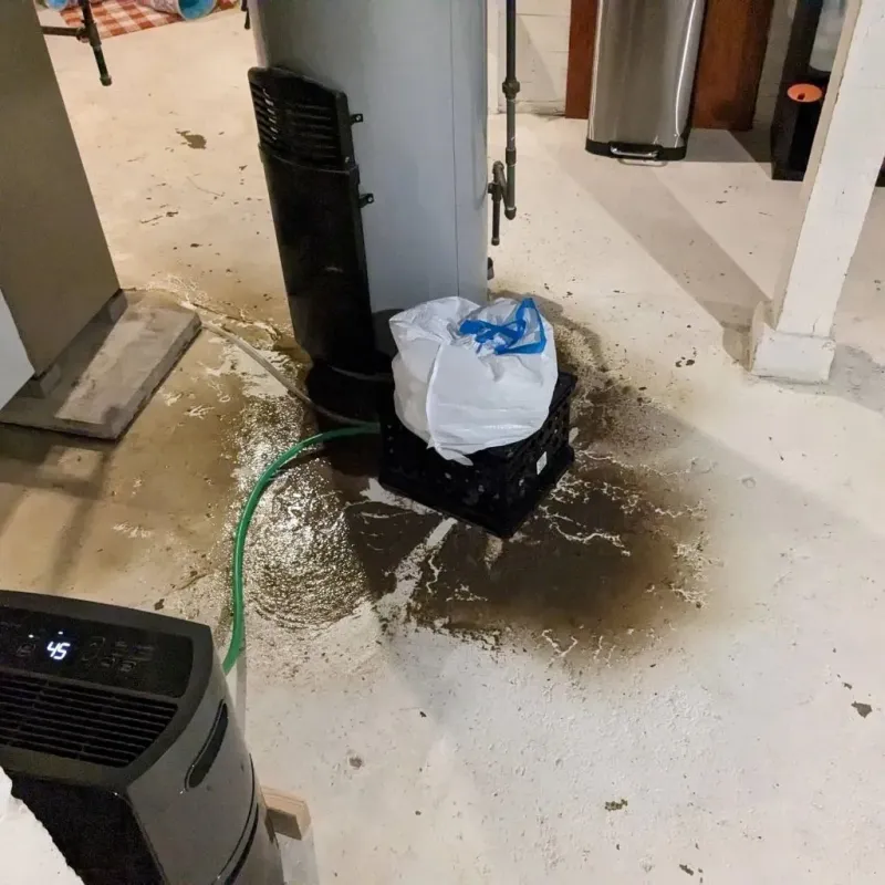 Sewage Backup Cleanup Service in Arapahoe, WY